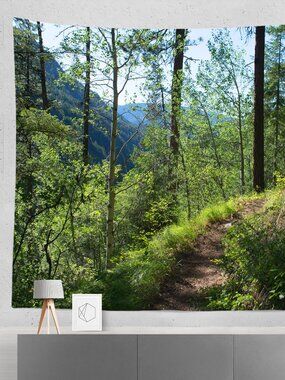 HUGE Tapestry - Hiking Trail Forest Scene 104x88 inches